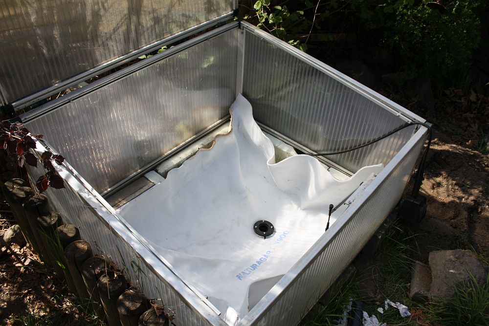 Bau eines Miniteiches zur Aufzucht von Wasserschildkrötenschlüpflingen