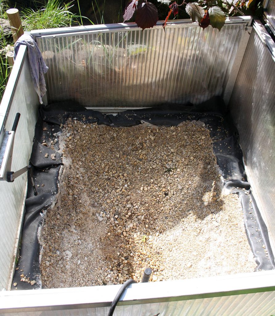 Bau eines Miniteiches zur Aufzucht von Wasserschildkrötenschlüpflingen