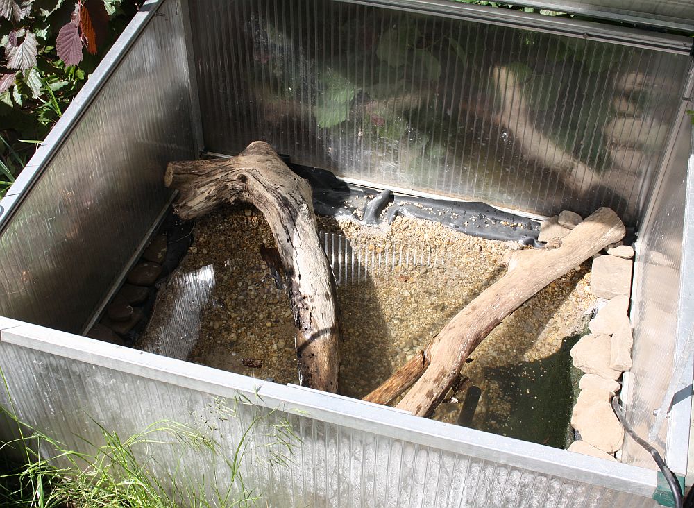 Bau eines Miniteiches zur Aufzucht von Wasserschildkrötenschlüpflingen